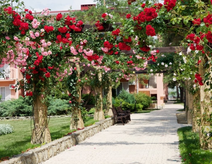 Отель Alean Family Riviera / Алеан Фэмили Ривьера